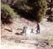 WaterSpringAtRanch